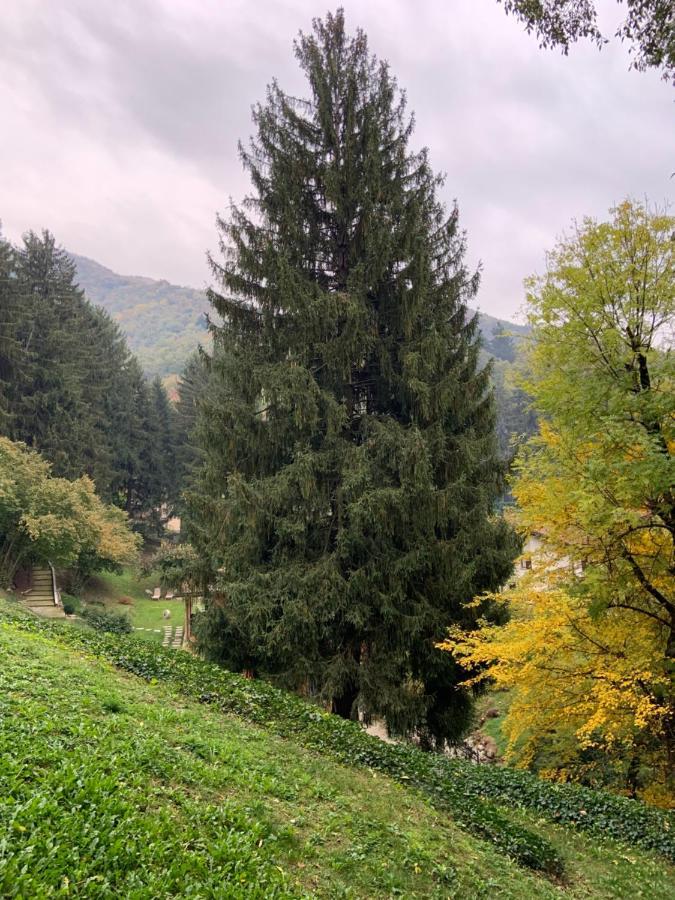 Hotel Il Mulino di Valeria Canzo Esterno foto